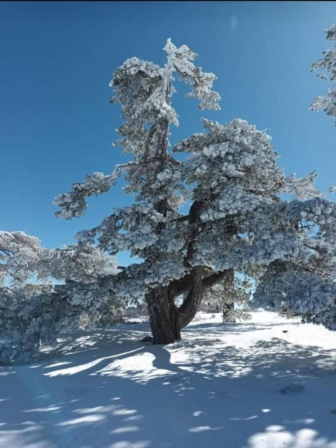 Alojamiento El Recreo Казорла Экстерьер фото